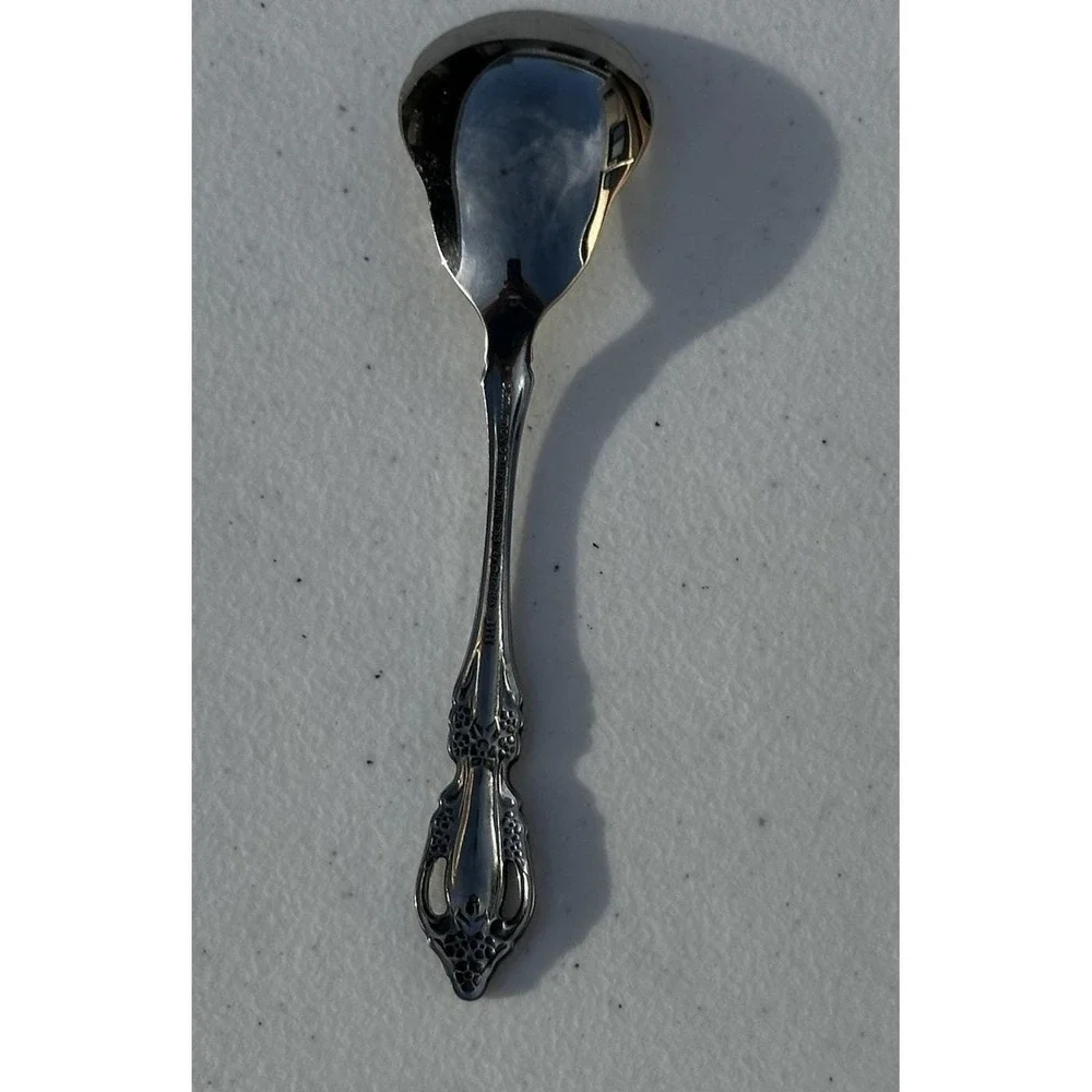 Oneida Raphael Stainless Sugar Shell Spoon 6 in. -  Distriction Deluxe HH  1 pc